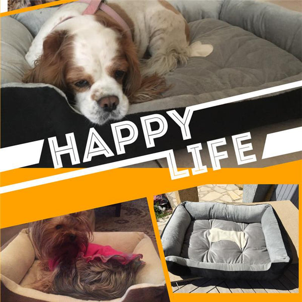 Plus Size Pet Beds
