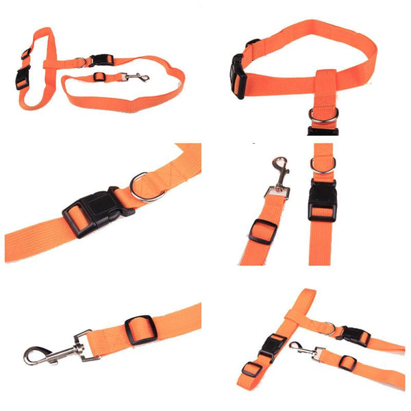 Adjustable Walking Leash