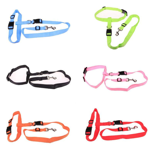 Adjustable Walking Leash
