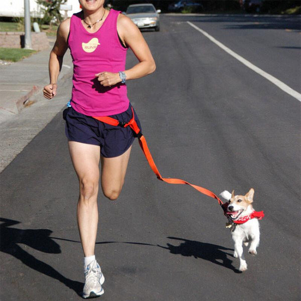 Adjustable Walking Leash