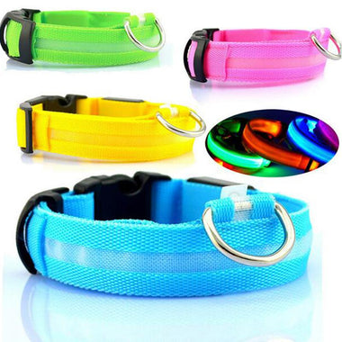 LED Nylon Collar Accessories