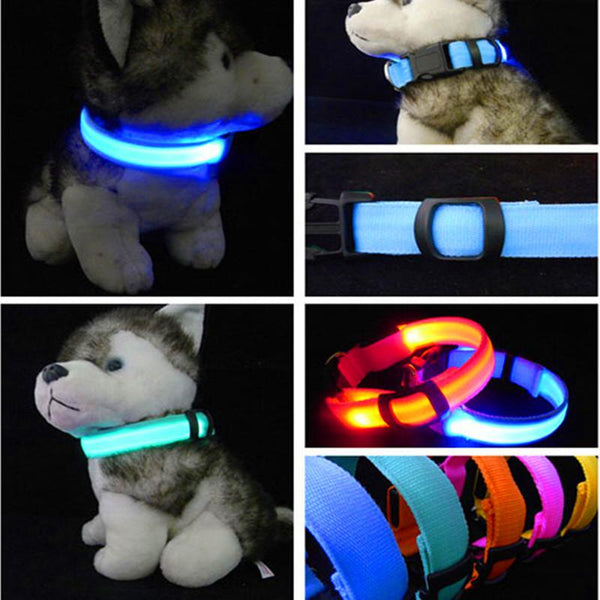 LED Nylon Collar Accessories