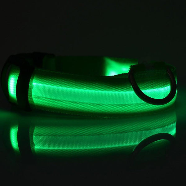LED Nylon Collar Accessories