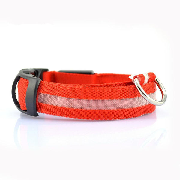 LED Nylon Collar Accessories