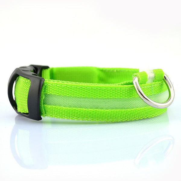 LED Nylon Collar Accessories