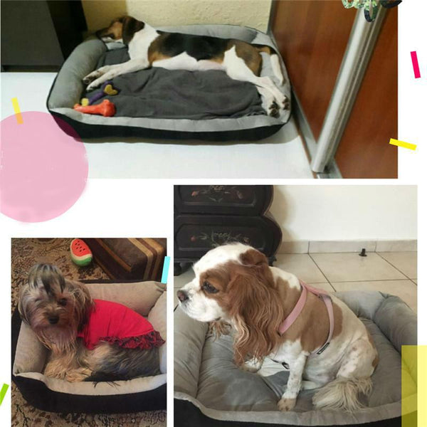 Plus Size Pet Beds