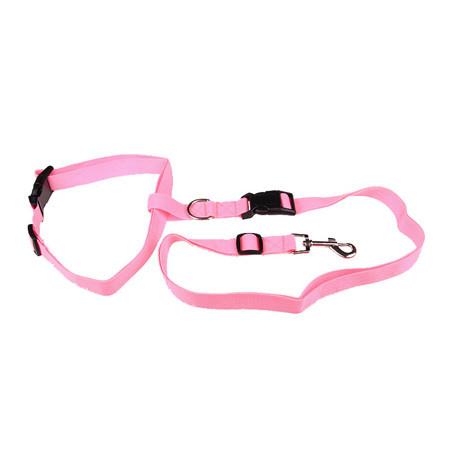 Adjustable Walking Leash