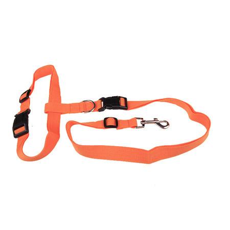 Adjustable Walking Leash