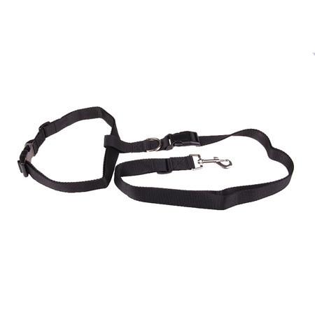 Adjustable Walking Leash