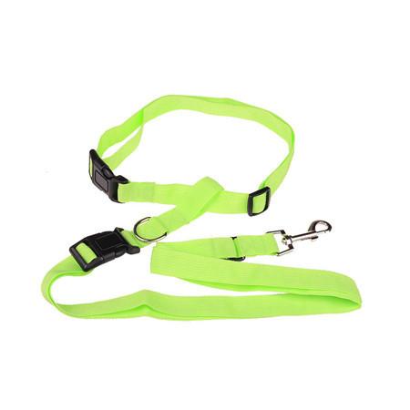 Adjustable Walking Leash